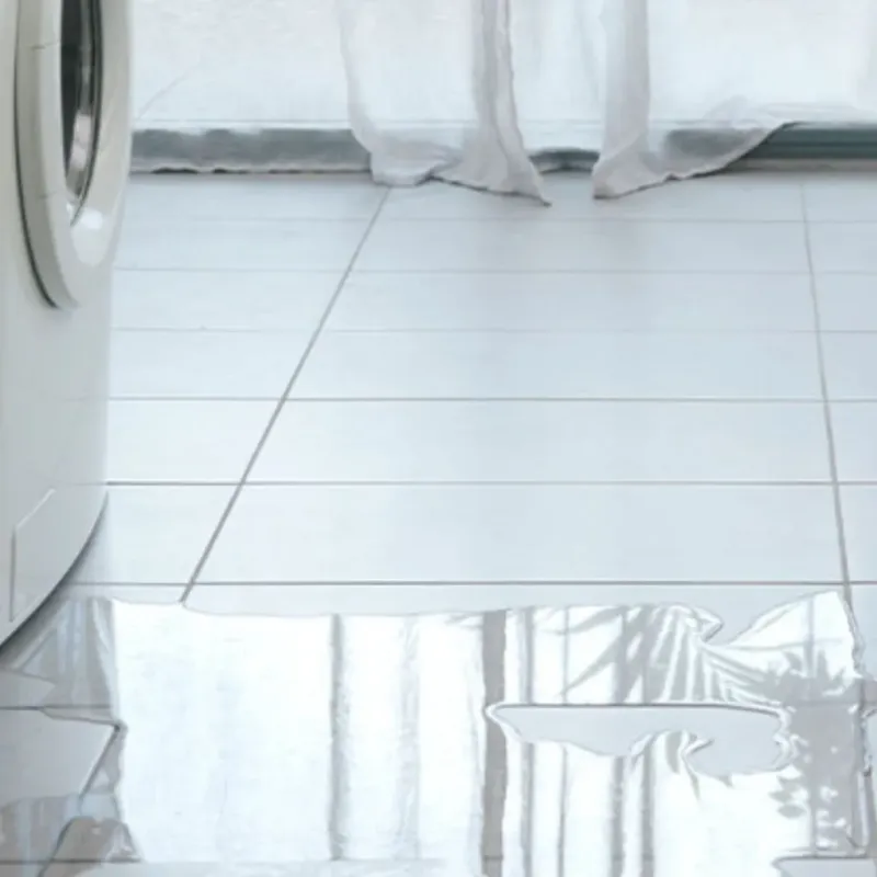 Appliance Leak Cleanup in Marquette County, WI