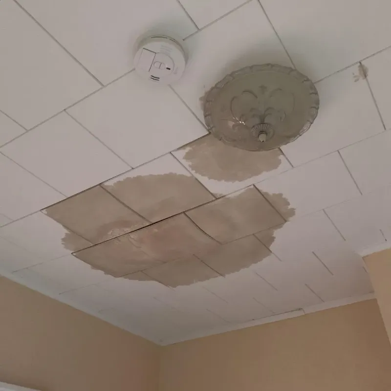 Ceiling Water Damage Repair in Marquette County, WI