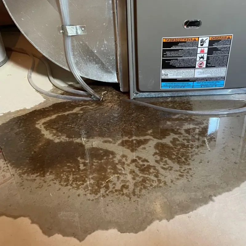 Pipe Burst and Leak Restoration in Marquette County, WI
