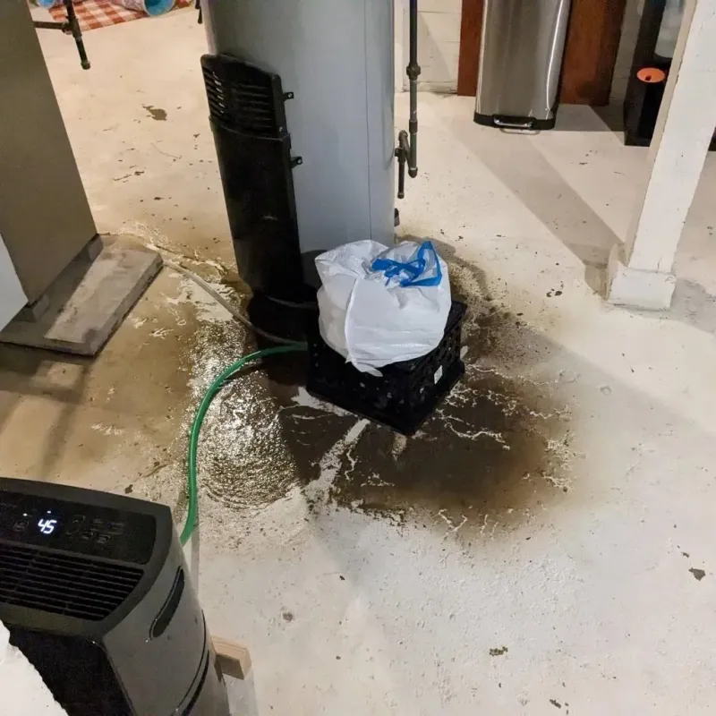 Sewage Backup Cleanup Service in Marquette County, WI